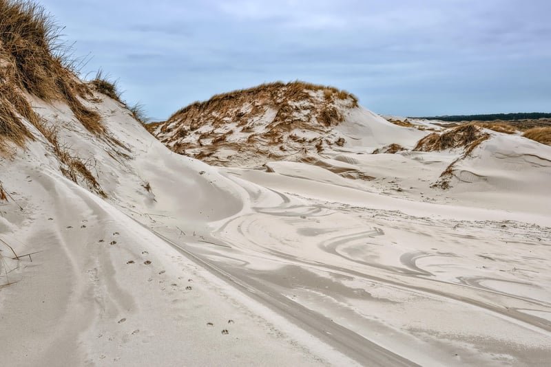 Sand Unity Ceremony